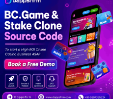BC.Game & Stake Casino Clone Source Code at Minimal Cost & Quick Launch Free Demo