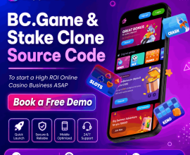 BC.Game & Stake Casino Clone Source Code at Minimal Cost & Quick Launch Free Demo
