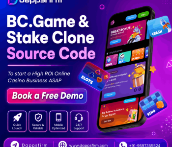 BC.Game & Stake Casino Clone Source Code at Minimal Cost & Quick Launch Free Demo