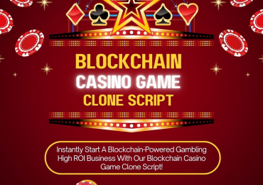 Build a Next-Gen Blockchain Casino Platform with Premium Features