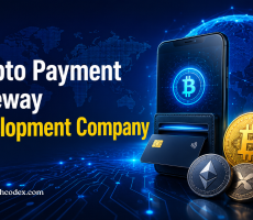 Build Better Crypto Payment Experiences with Hashcodex Solutions