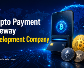 Build Better Crypto Payment Experiences with Hashcodex Solutions
