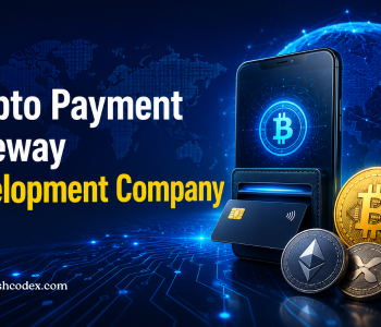 Build Better Crypto Payment Experiences with Hashcodex Solutions