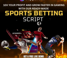 Win the Market Race with a Powerful Sports Betting Script for Fast Deployment