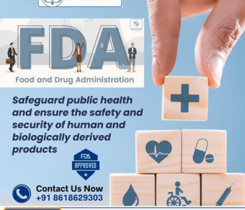 FDA Certification in Egypt