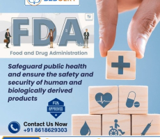 How Can FDA Compliance in Egypt Support Product Market Access?