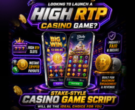 Redrawing Casino Boundaries with Blockchain Power and Stake Clone Script