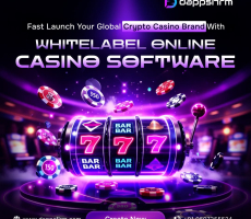 Grow Smart with White Label Casino Software Tailored for Crypto Gaming