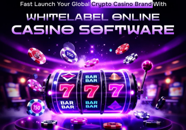 Grow Smart with White Label Casino Software Tailored for Crypto Gaming