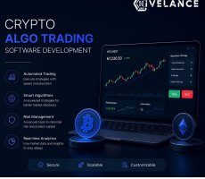 Crypto Algo Trading Software Development Cost vs ROI Analysis