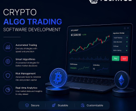 Crypto Algo Trading Software Development Cost vs ROI Analysis