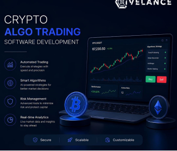 Crypto Algo Trading Software Development Cost vs ROI Analysis