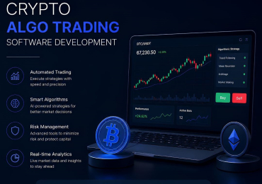 Crypto Algo Trading Software Development Cost vs ROI Analysis