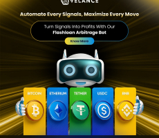 Flash Loan arbitrage bot – Maximize Your Crypto trading Profit