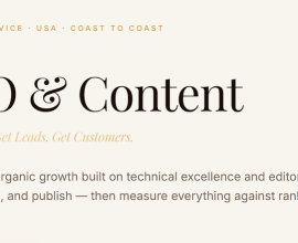 Professional SEO Services in USA | Grow Your brand with Metroluxglobal