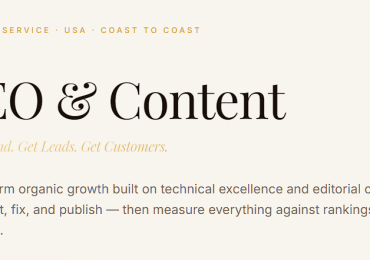 Professional SEO Services in USA | Grow Your brand with Metroluxglobal