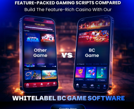 BC Clone App to Kickstart Your Crypto Casino Startup Journey