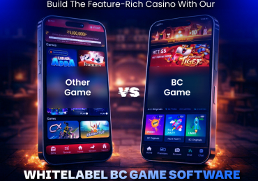 BC Clone App to Kickstart Your Crypto Casino Startup Journey