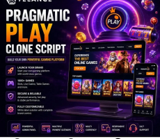 Whitelabel Pragmatic Play Clone Software With Cross-Chain Functions for Modern Gaming Platforms