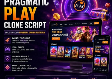 Whitelabel Pragmatic Play Clone Software With Cross-Chain Functions for Modern Gaming Platforms