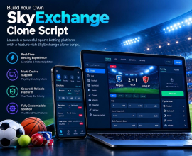 SkyExchange Clone Script: Expert Tips for Selecting the Right Development Solution