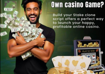 Ready-Made Stake Clone Script – Save Time & Development Cost