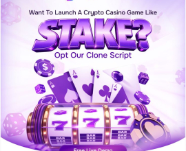 Stake Clone Script with AI Features – Future of iGaming Starts Here