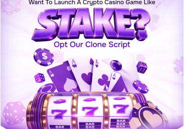 Stake Clone Script with AI Features – Future of iGaming Starts Here